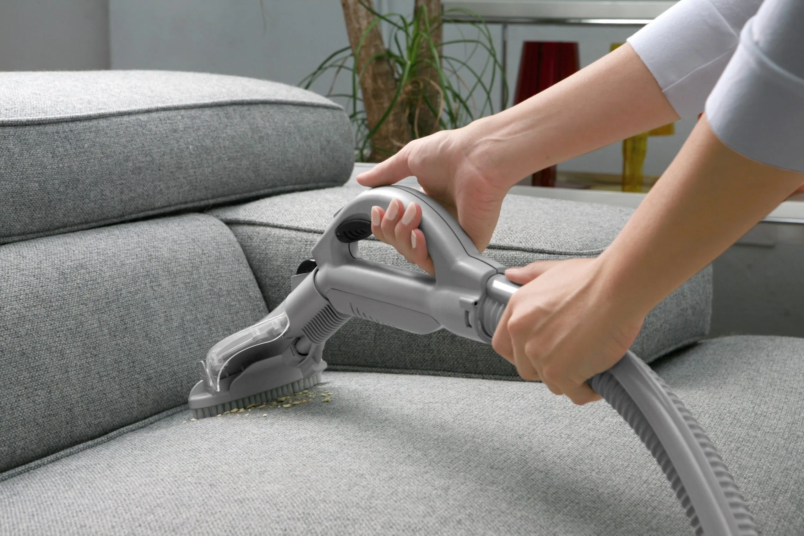 Woman vacuuming dust and pollen from living room couch