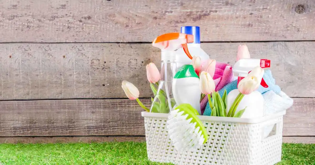 spring recurring cleaning in Liberty Hill